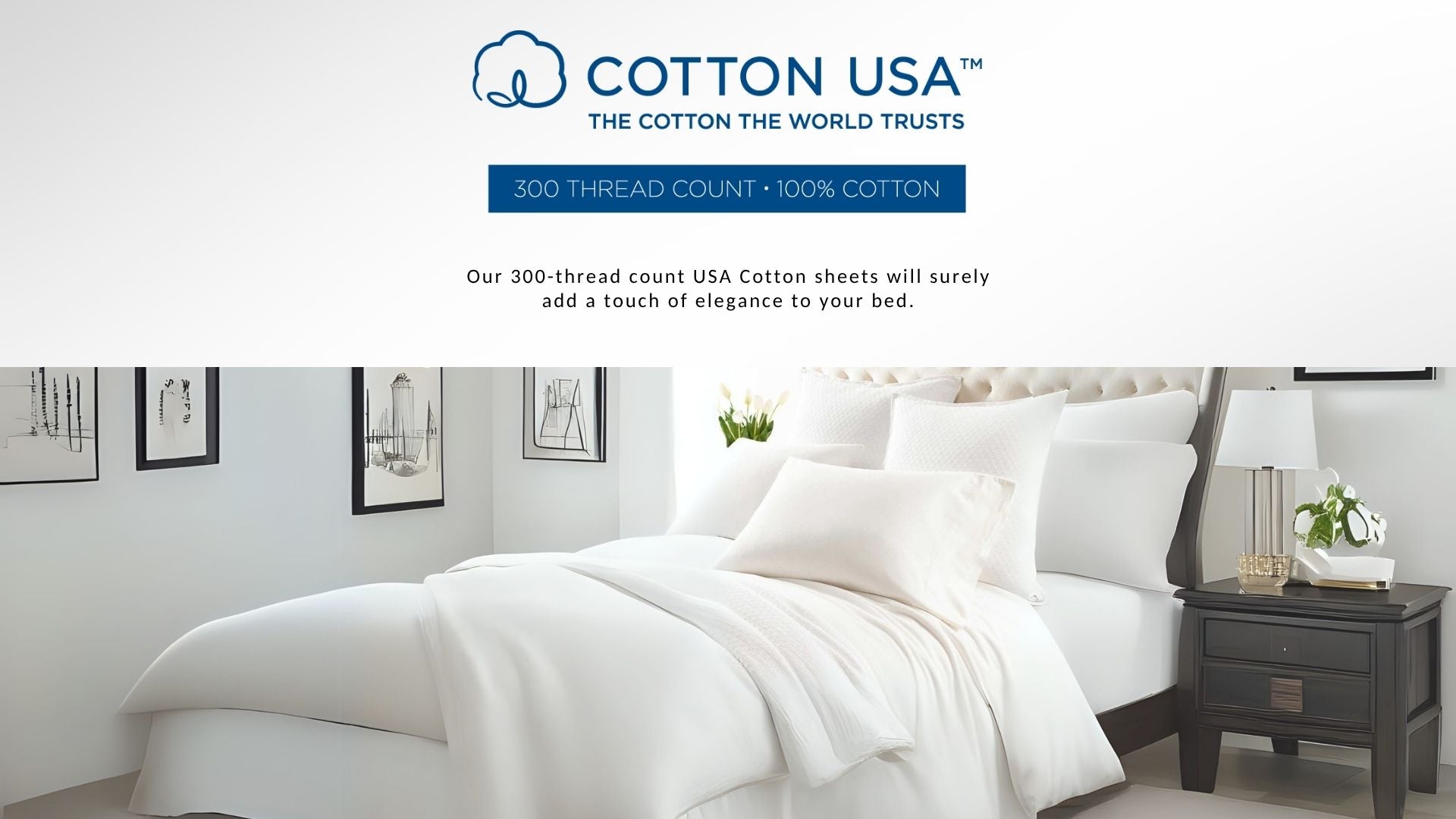 USA Cotton Bedsheet 300Thread Count Plain - Latte Lifestyle by Canadian